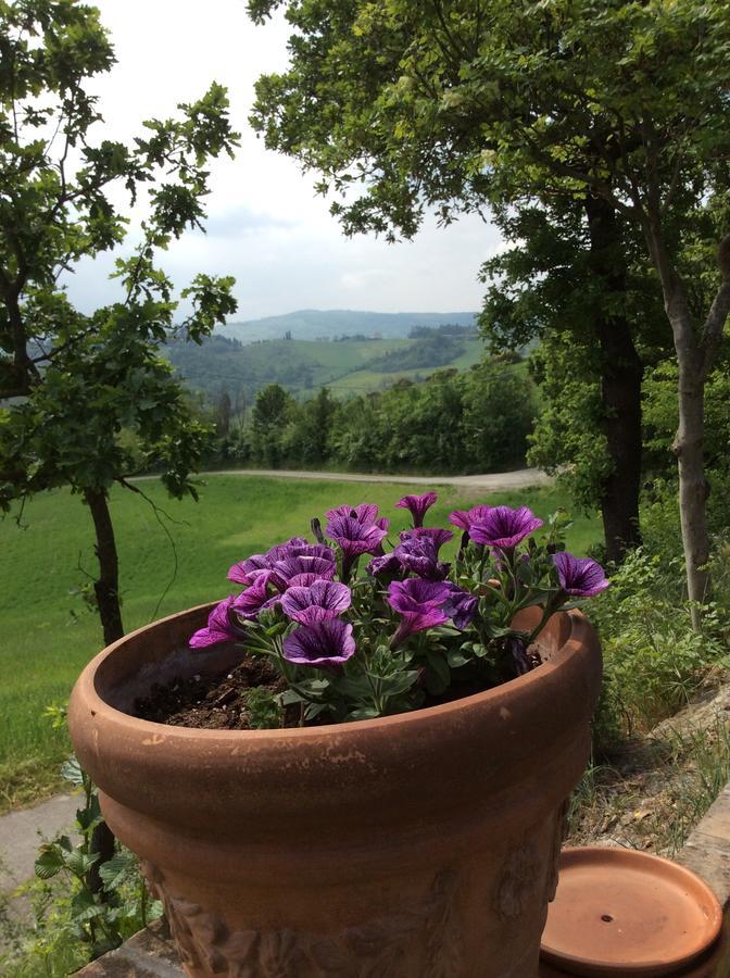 Agriturismo Ca Lunati Hotell Castelletto Mendosio Eksteriør bilde